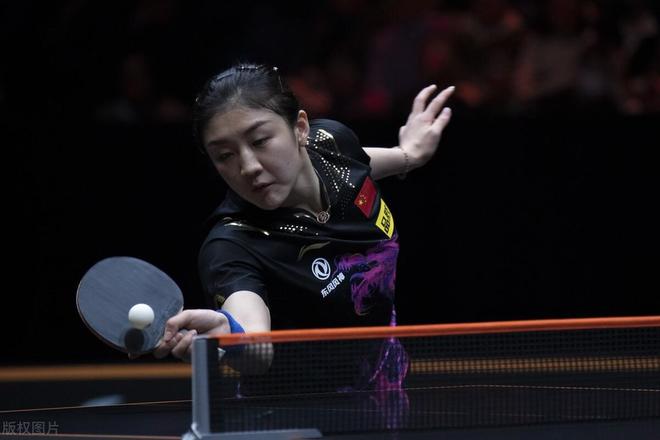 健身计划的 健身计划的