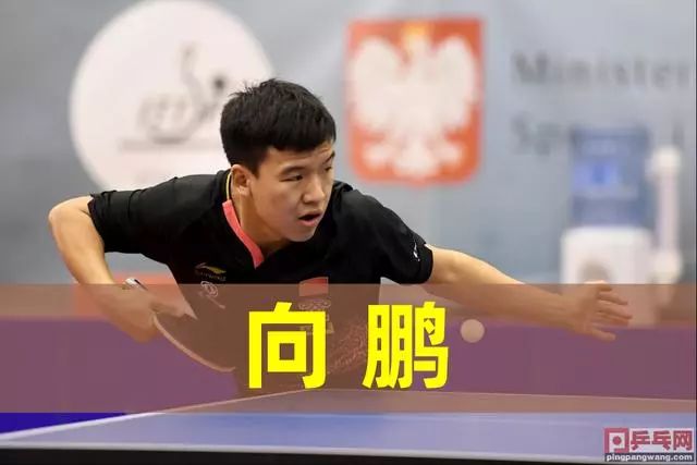 了体育精神 了体育精神