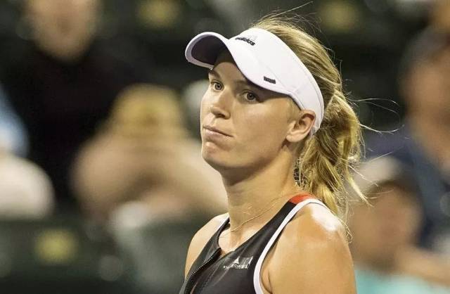 对抗体系的 对抗体系的