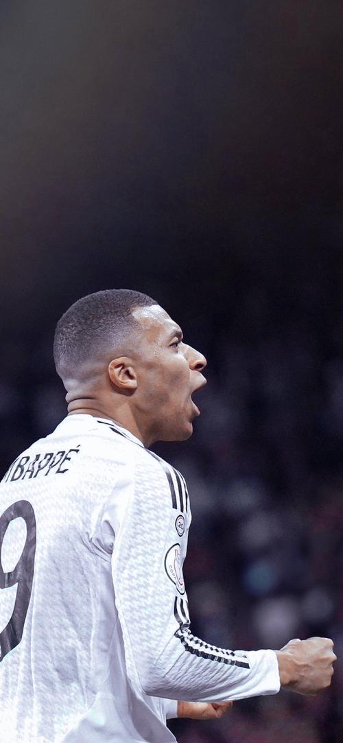 上一周期倒 上一周期倒