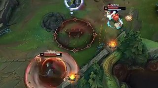 影响与展望 影响与展望